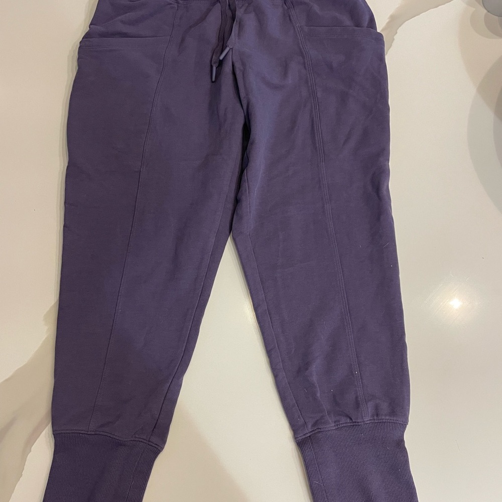 All in Motion Women's Purple Jogger Pants